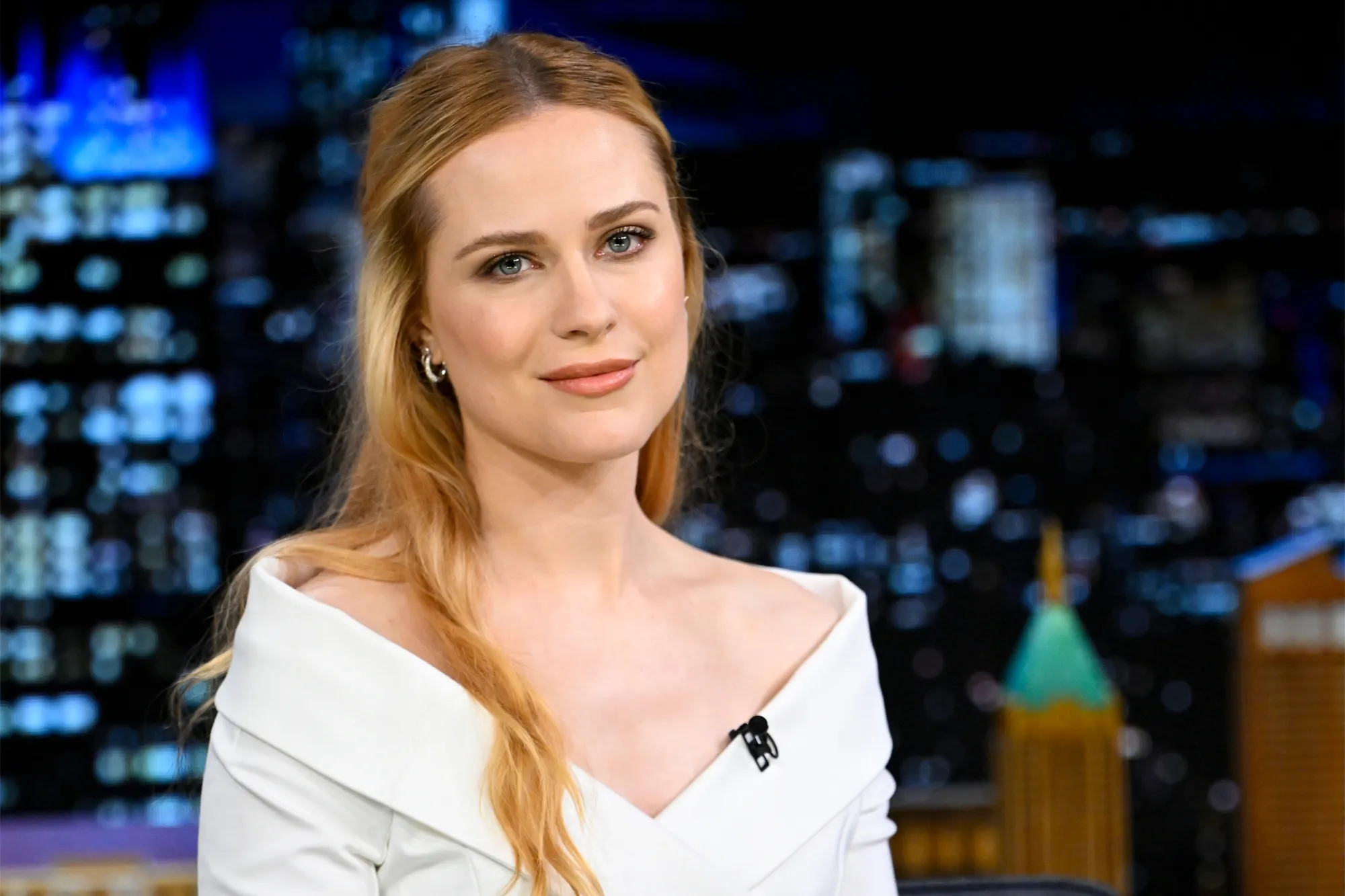 30 Interesting Things Most People Don’t Know About Evan Rachel Wood